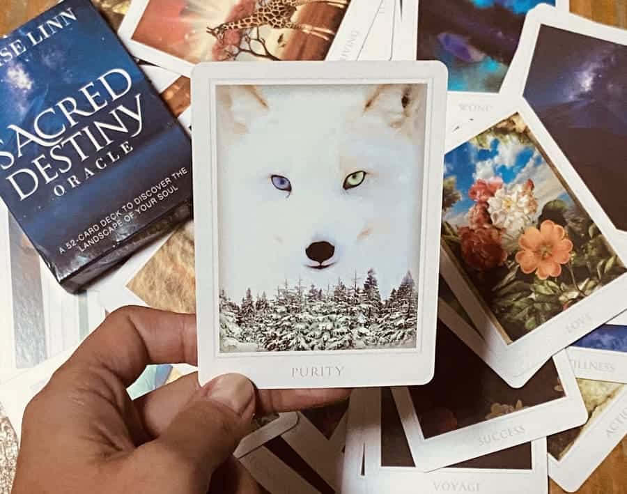 Você sabe a diferença entre tarot e oráculo? Entenda