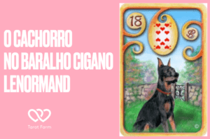 O Cachorro  significado no Baralho Cigano ou Lenormand  TarotFarm